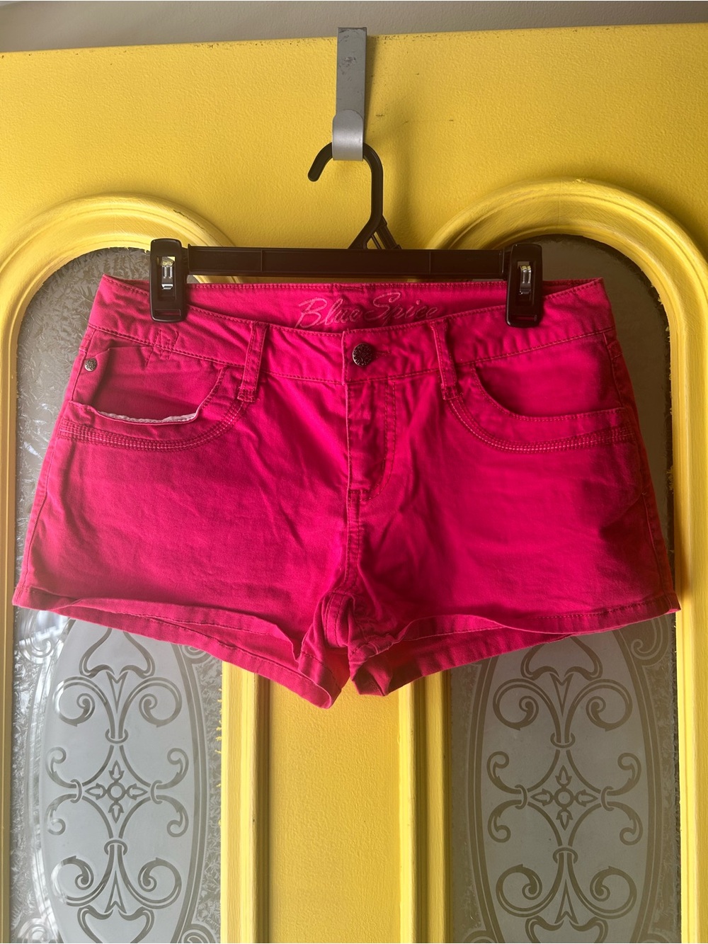 Blue Spice Women's Hot Pink Shorts